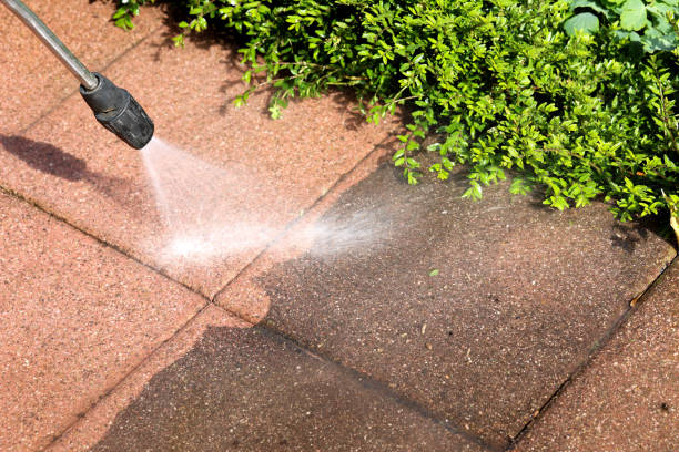 Best House Pressure Washing  in Lake Oswego, OR